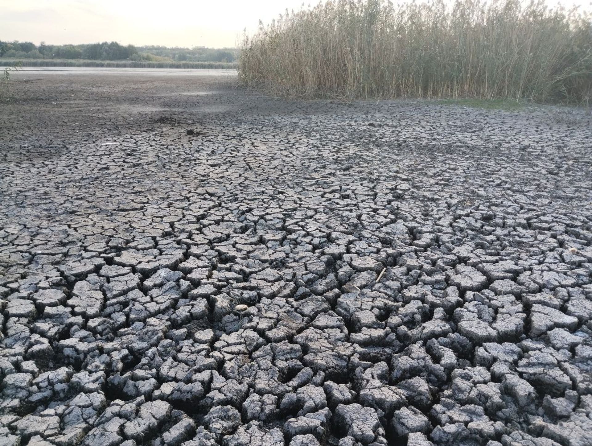 пересохле русло річки